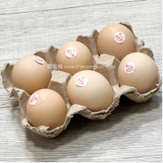 嘉美雞雞蛋6隻